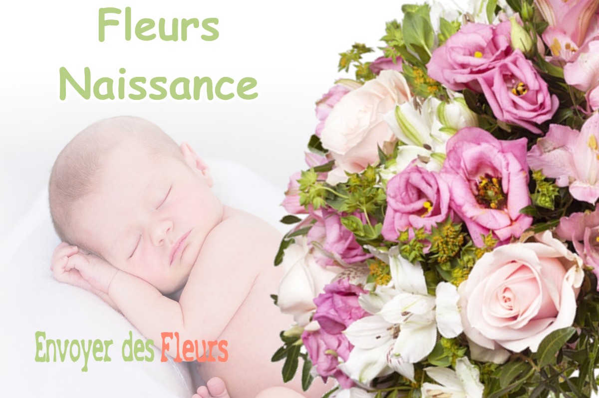 lIVRAISON FLEURS NAISSANCE à SAINT-MARTIN-DE-CRAU